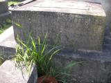 image of grave number 172637